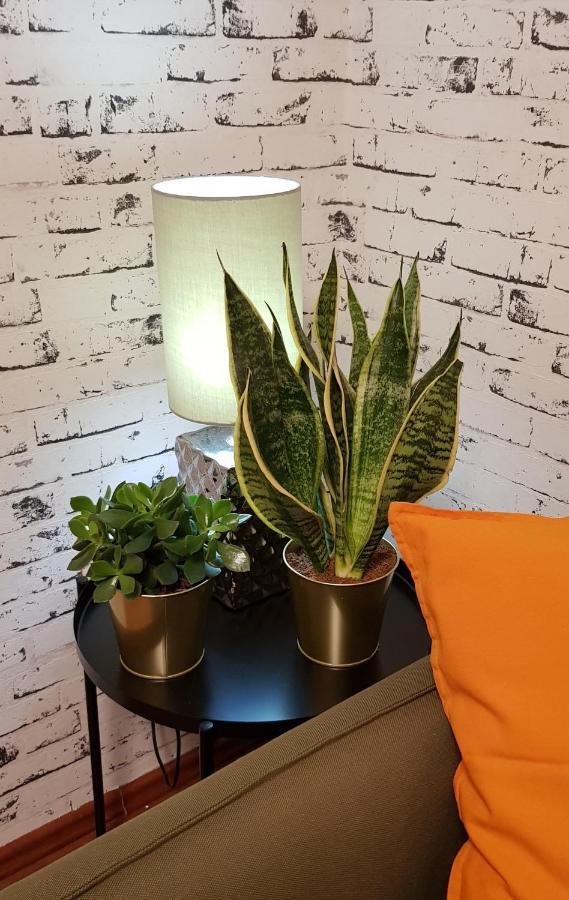 Apartman i Studio apartman Majoli Kukuljanovo Bagian luar foto
